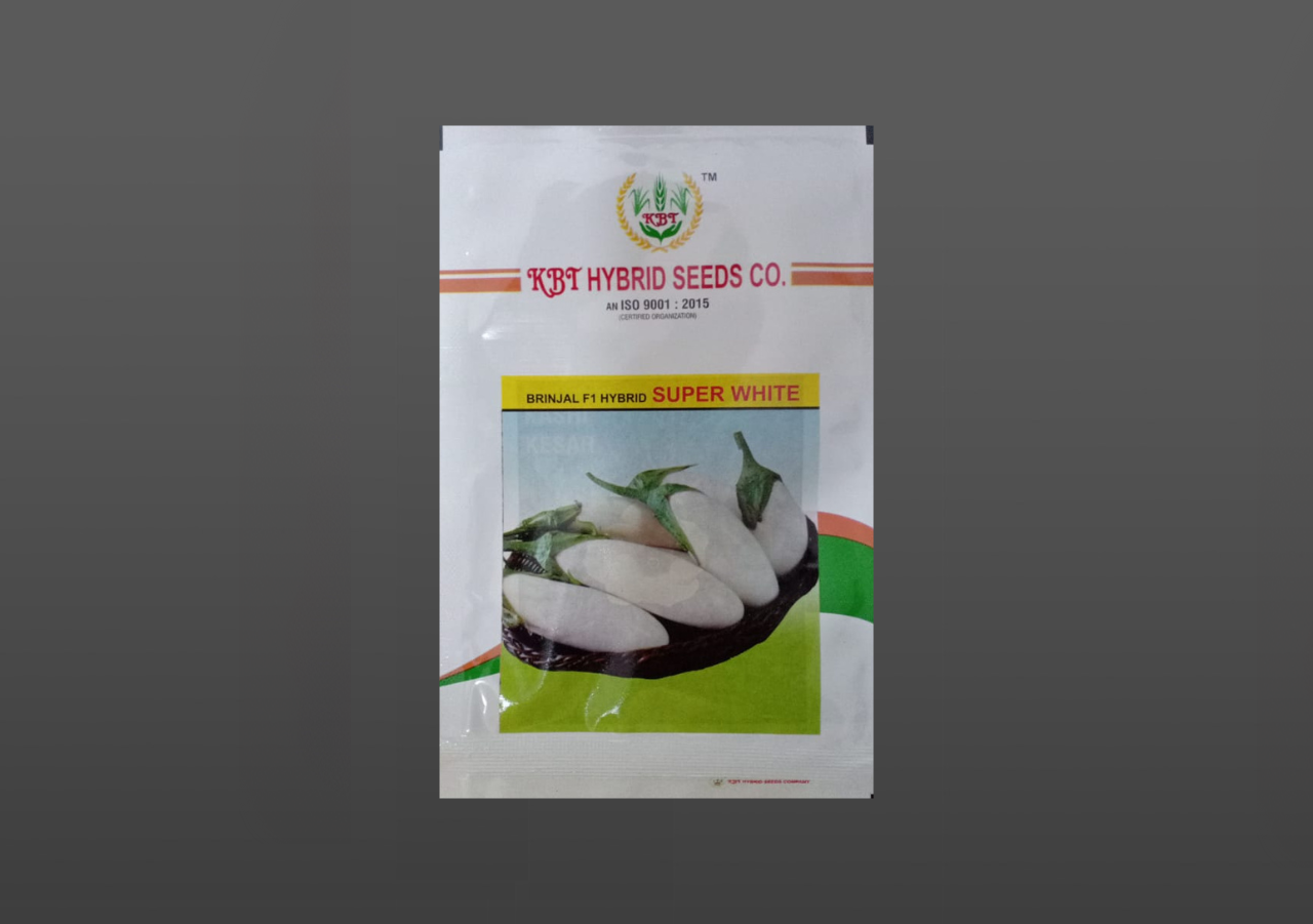 BRINJAL F1 HYBRID SUPER WHITE 10g
